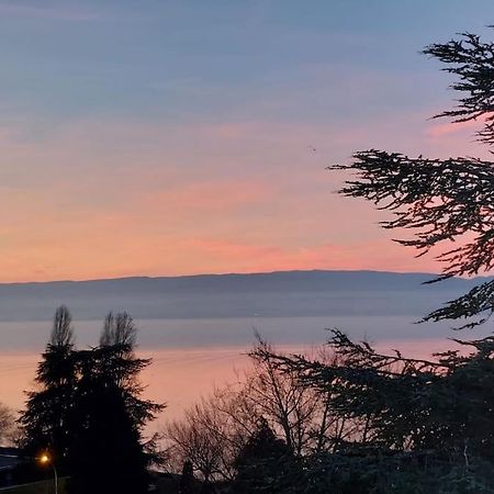 Le Mirabeau Vue Lac Évian-les-Bains Eksteriør bilde