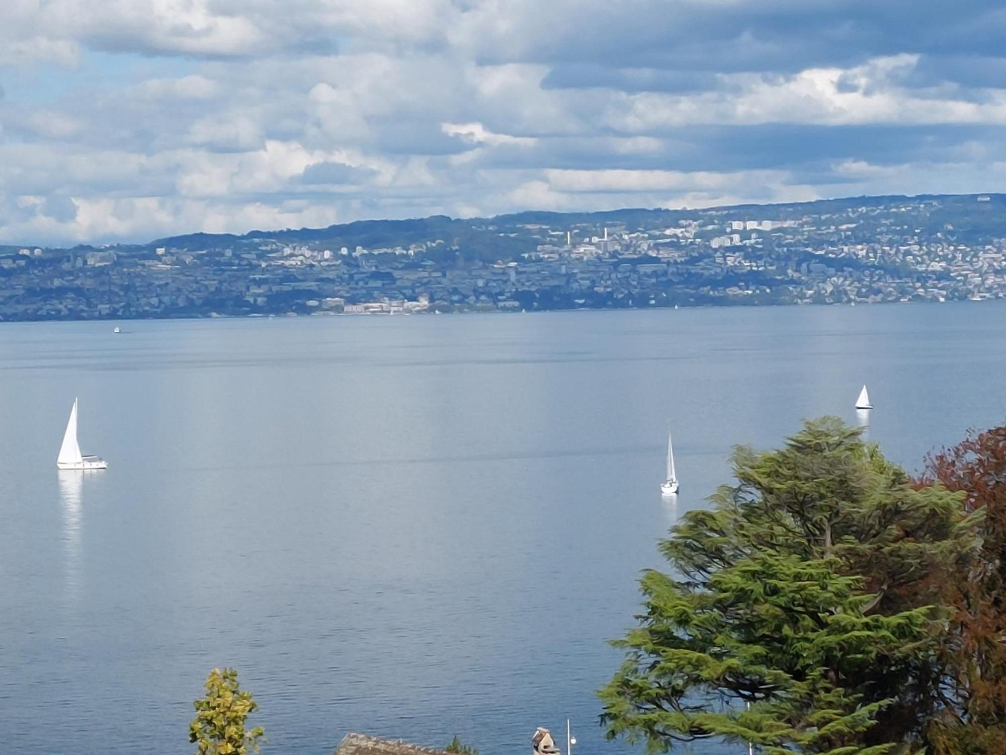Le Mirabeau Vue Lac Évian-les-Bains Eksteriør bilde