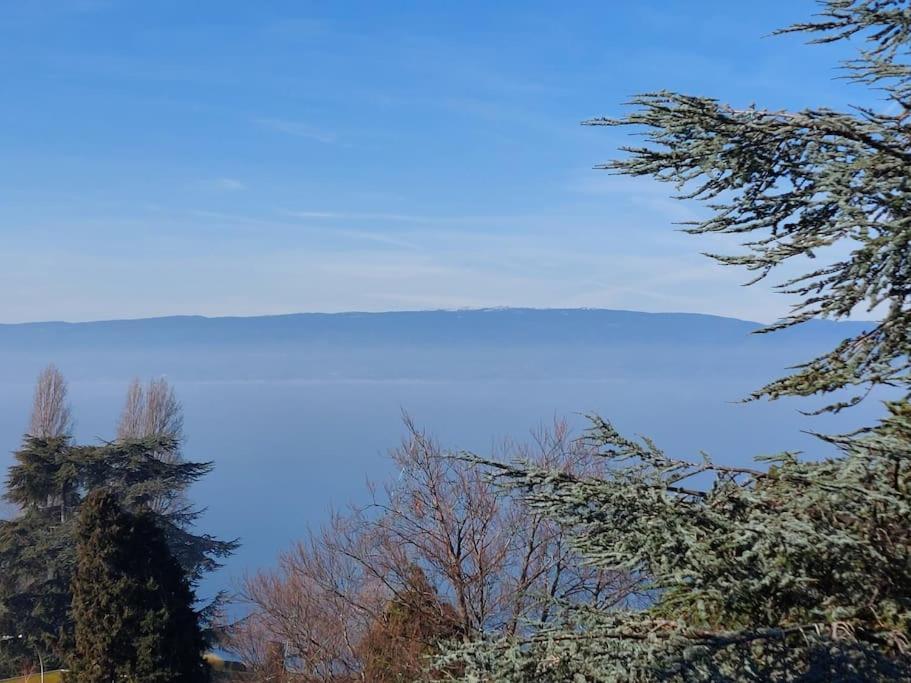 Le Mirabeau Vue Lac Évian-les-Bains Eksteriør bilde