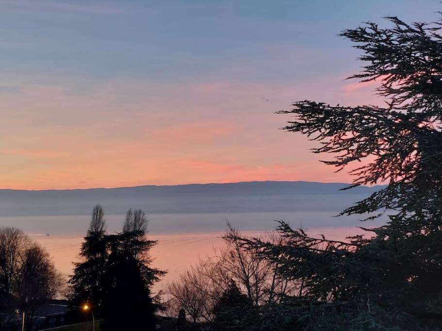 Le Mirabeau Vue Lac Évian-les-Bains Eksteriør bilde