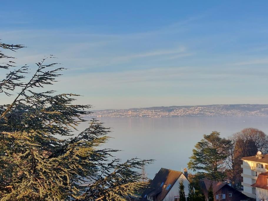 Le Mirabeau Vue Lac Évian-les-Bains Eksteriør bilde